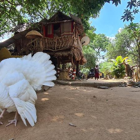 Humbhaha Jungle Yala Nature Eco Resort Kataragama Exterior photo