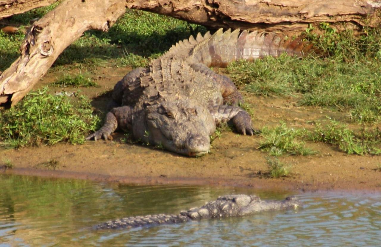Humbhaha Jungle Yala Nature Eco Resort Kataragama Exterior photo