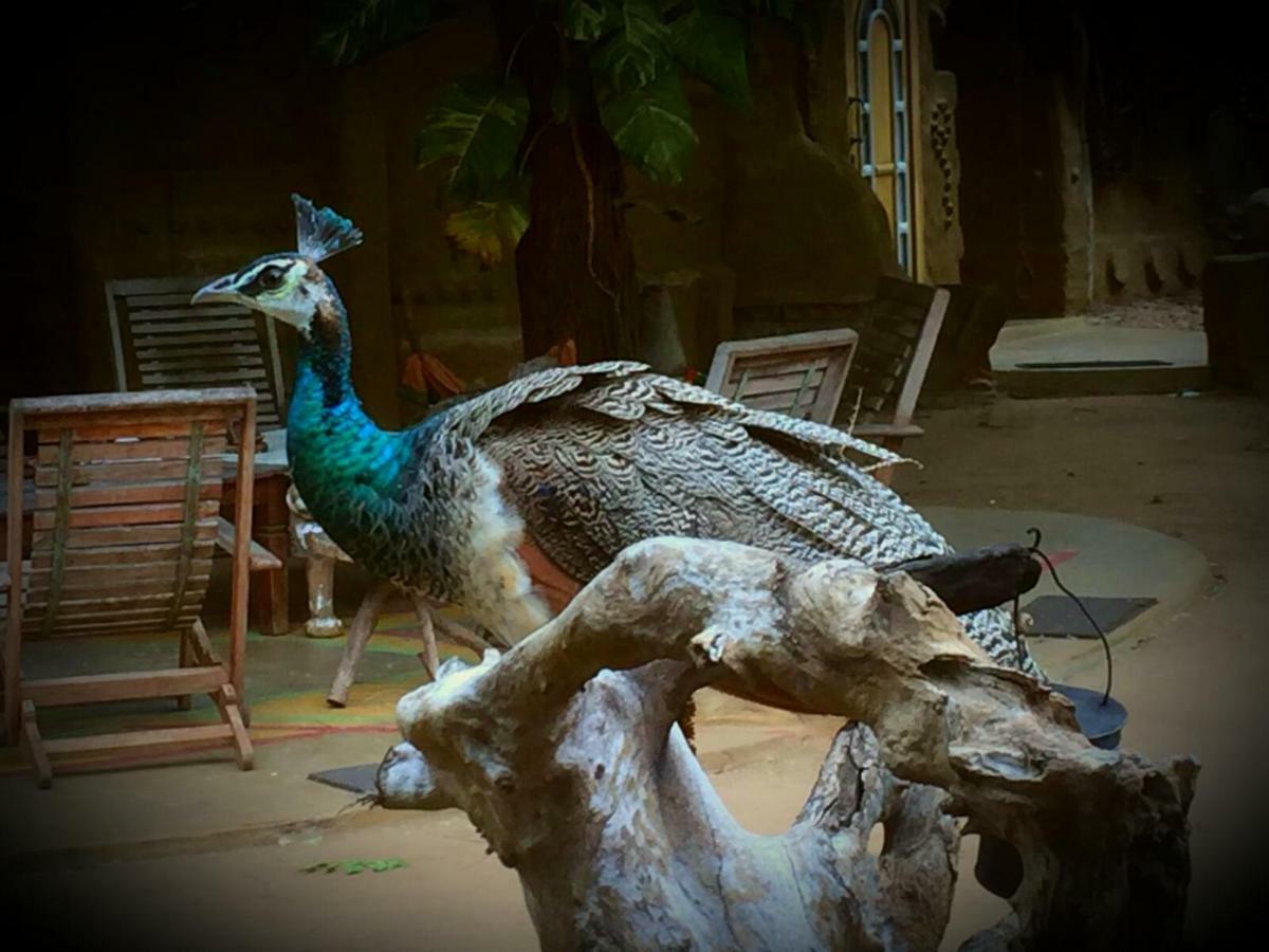 Humbhaha Jungle Yala Nature Eco Resort Kataragama Exterior photo